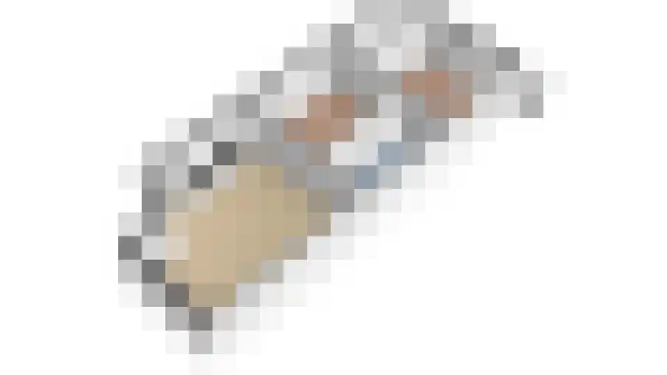 Voorheuvel 65 A Zeist thumbnail 23