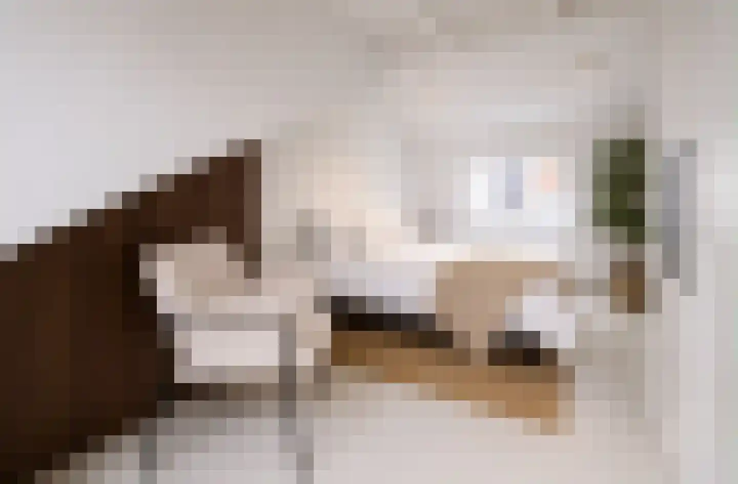 Voorheuvel 68 A Zeist thumbnail 13