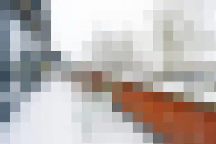 Voorheuvel 71 C Zeist thumbnail 21