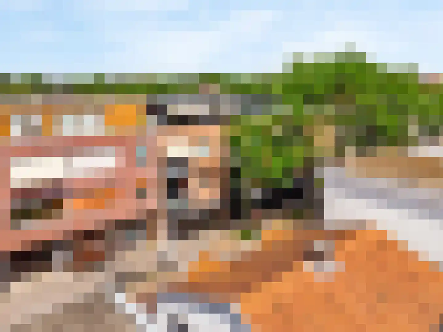Voorheuvel 75 C Zeist thumbnail 25