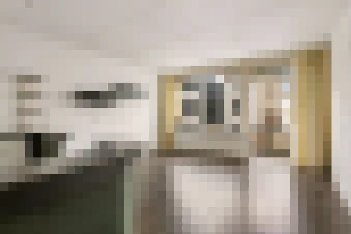 Voorheuvel 93 Zeist thumbnail 15