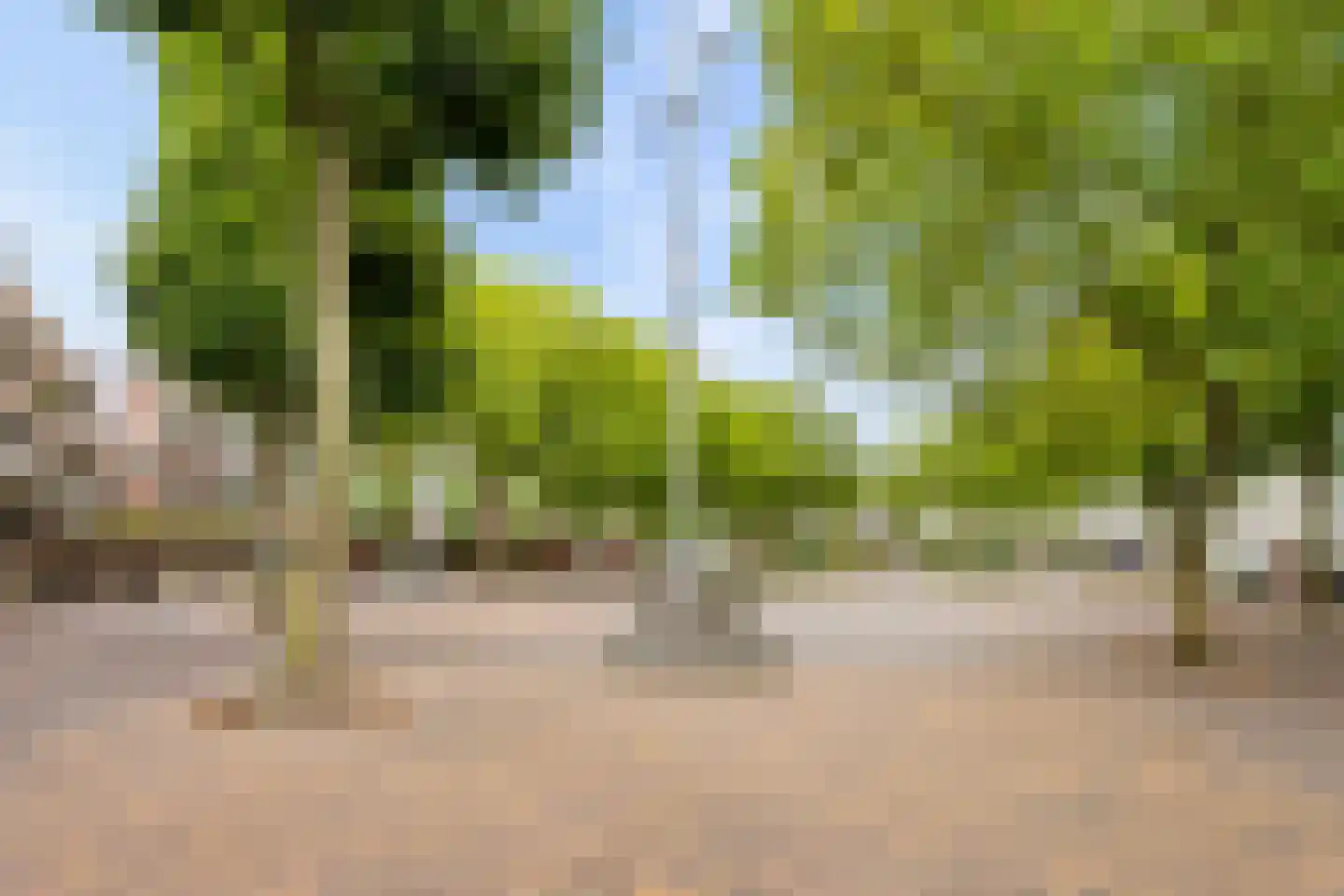 Voorheuvel 93 Zeist thumbnail 31