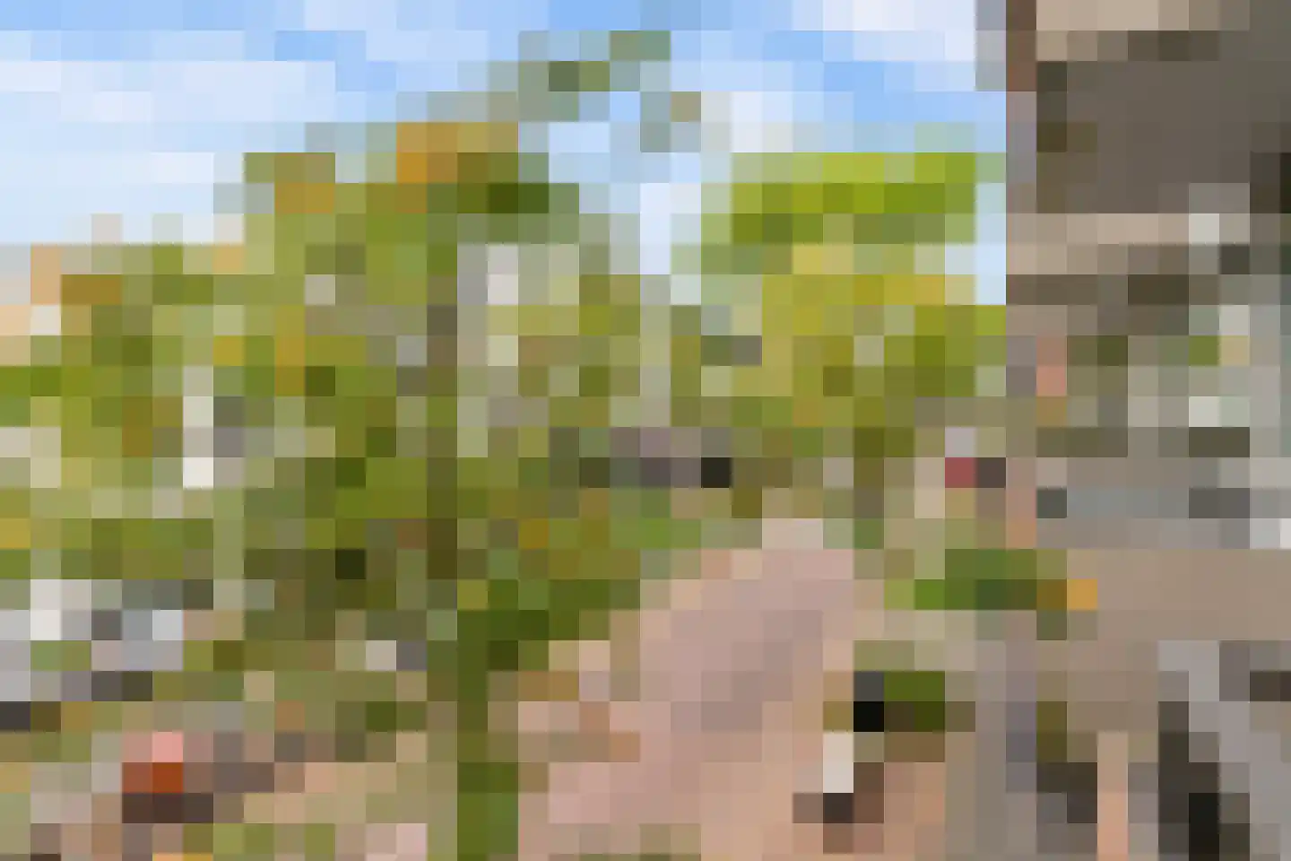 Voorheuvel 93 Zeist thumbnail 7