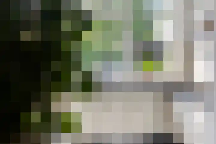 Voorhoevestraat 32 Ugchelen thumbnail 12