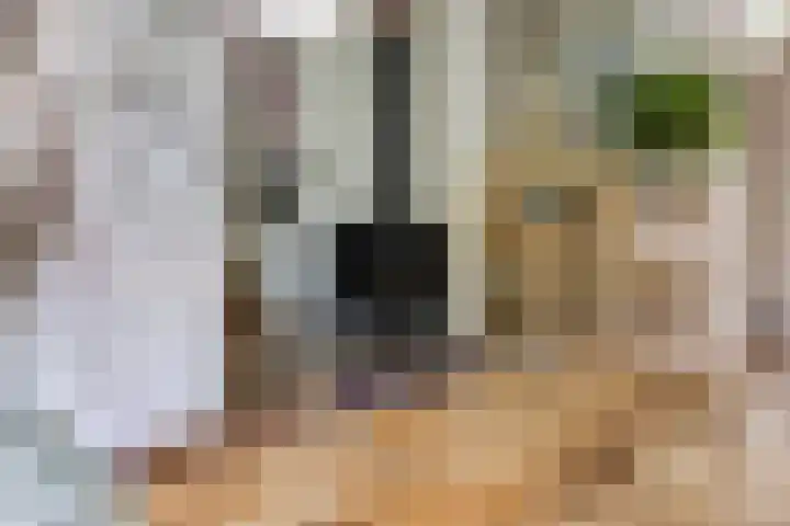 Voorhoevestraat 32 Ugchelen thumbnail 13