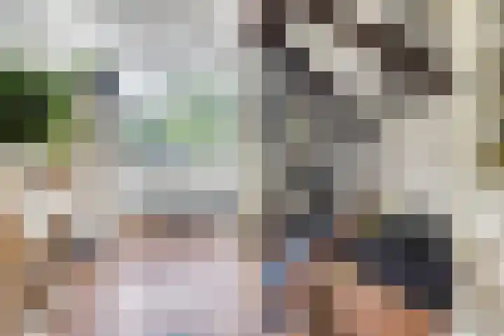 Voorhoevestraat 32 Ugchelen thumbnail 14