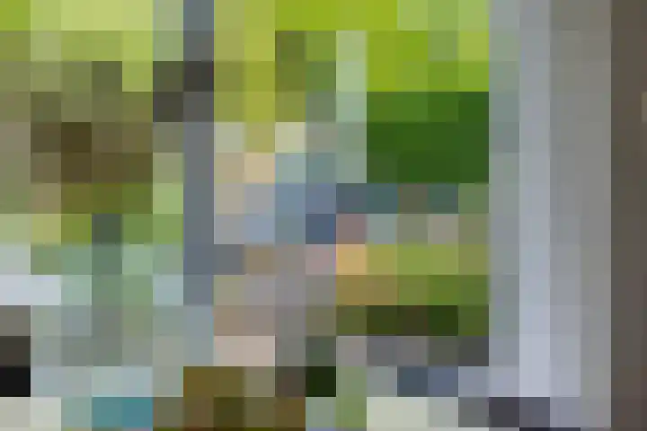 Voorhoevestraat 32 Ugchelen thumbnail 17