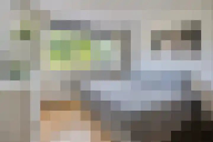 Voorhoevestraat 32 Ugchelen thumbnail 21