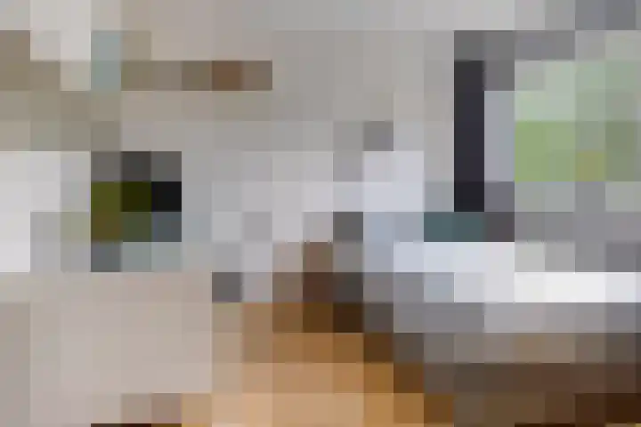 Voorhoevestraat 32 Ugchelen thumbnail 24