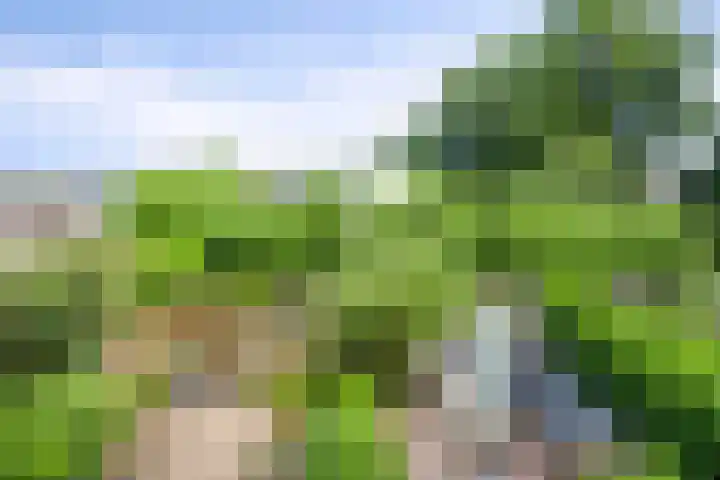 Voorhoevestraat 32 Ugchelen thumbnail 32