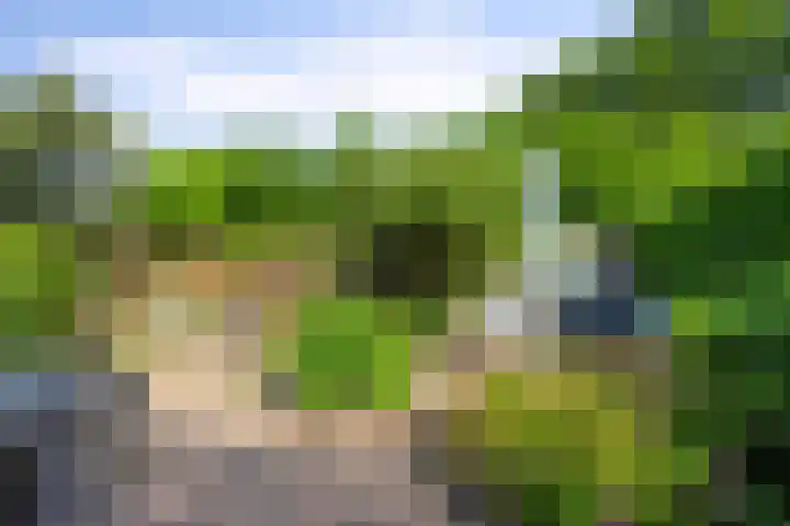 Voorhoevestraat 32 Ugchelen thumbnail 33