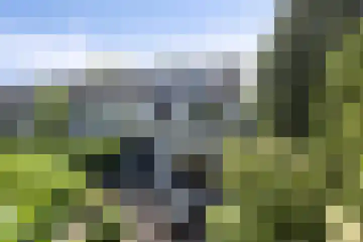 Voorhoevestraat 32 Ugchelen thumbnail 37