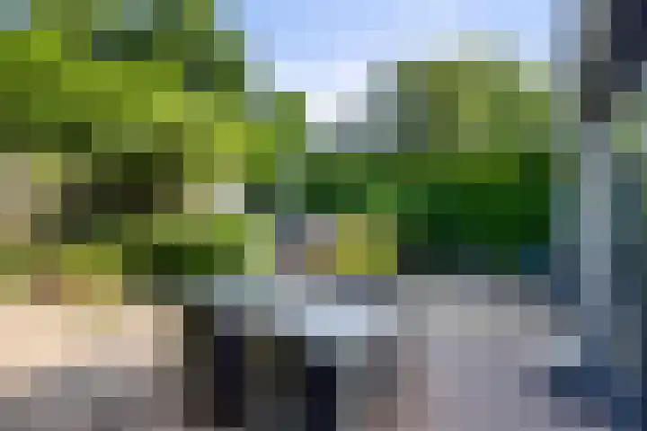 Voorhoevestraat 32 Ugchelen thumbnail 5
