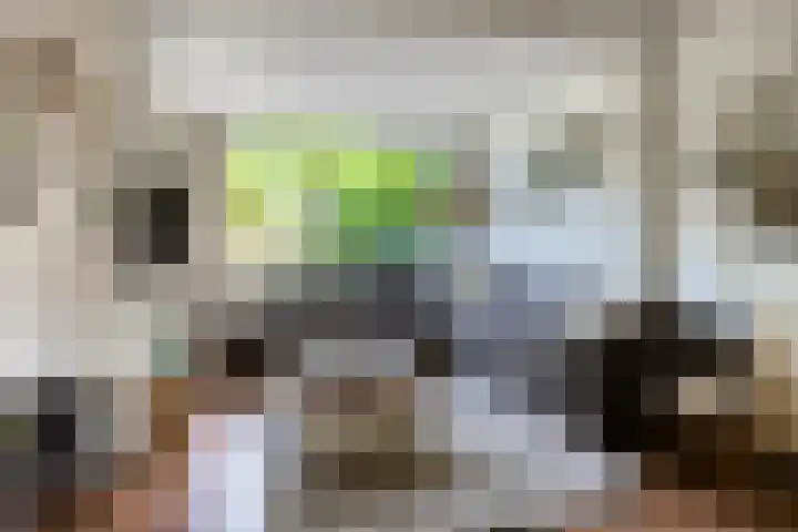 Voorhoevestraat 32 Ugchelen thumbnail 6
