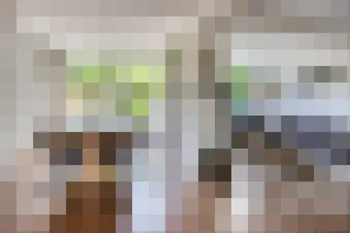 Voorhoevestraat 32 Ugchelen thumbnail 8
