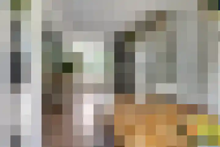 Voorhoevestraat 32 Ugchelen thumbnail 9