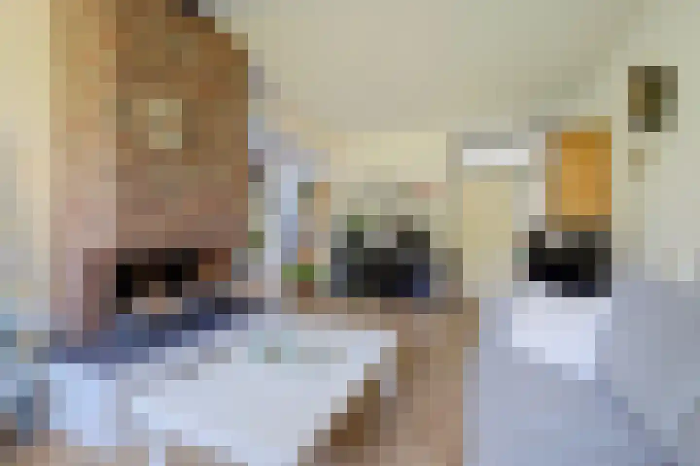 Voorhoevestraat 36 Ugchelen thumbnail 16