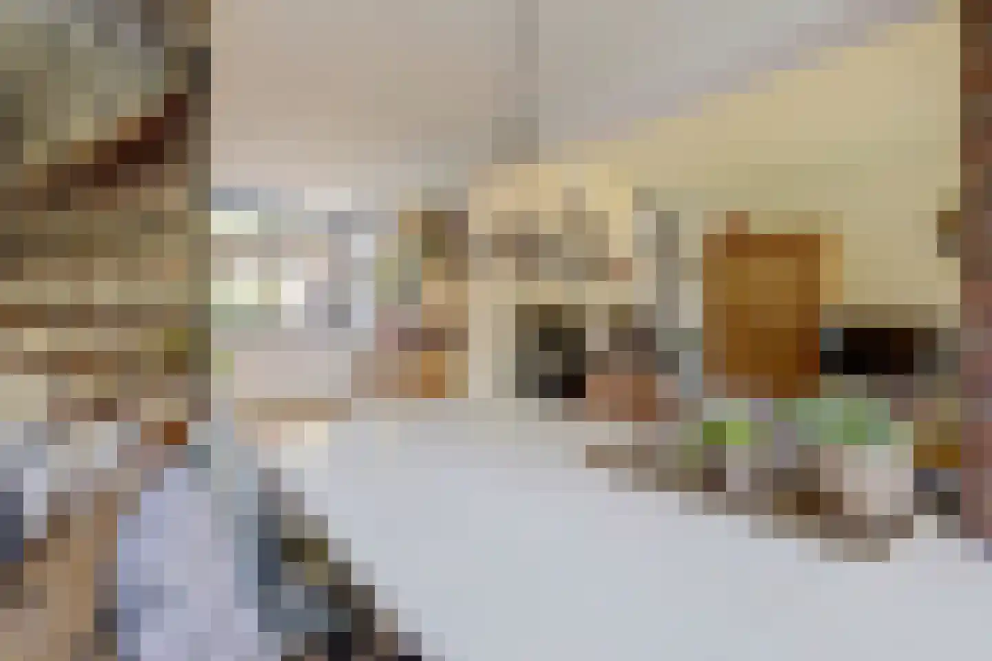 Voorhoevestraat 36 Ugchelen thumbnail 22