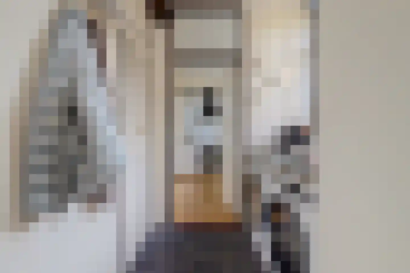 Voorhoevestraat 36 Ugchelen thumbnail 26