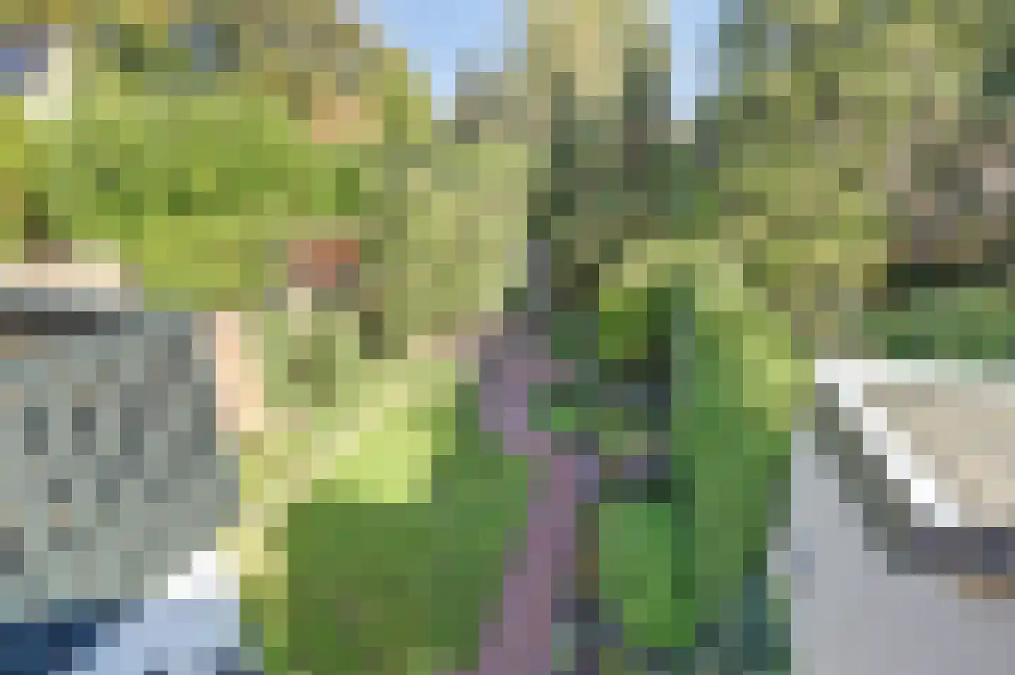 Voorhoevestraat 36 Ugchelen thumbnail 35