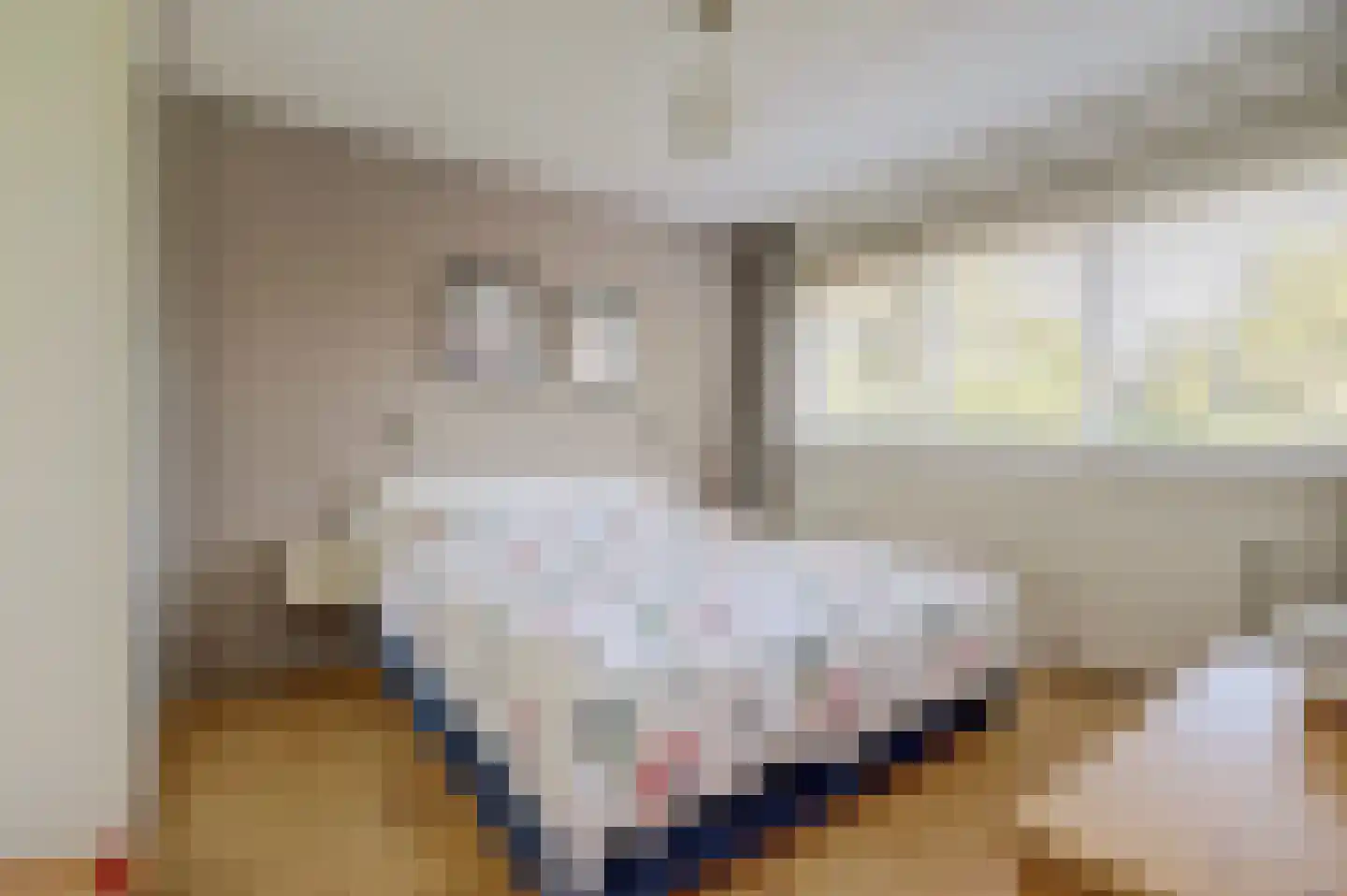 Voorhoevestraat 36 Ugchelen thumbnail 37