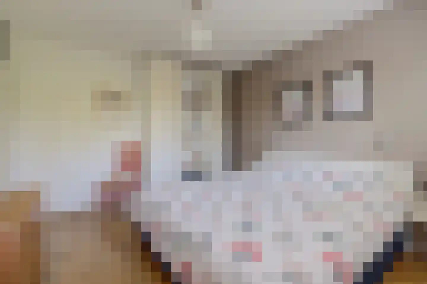Voorhoevestraat 36 Ugchelen thumbnail 39