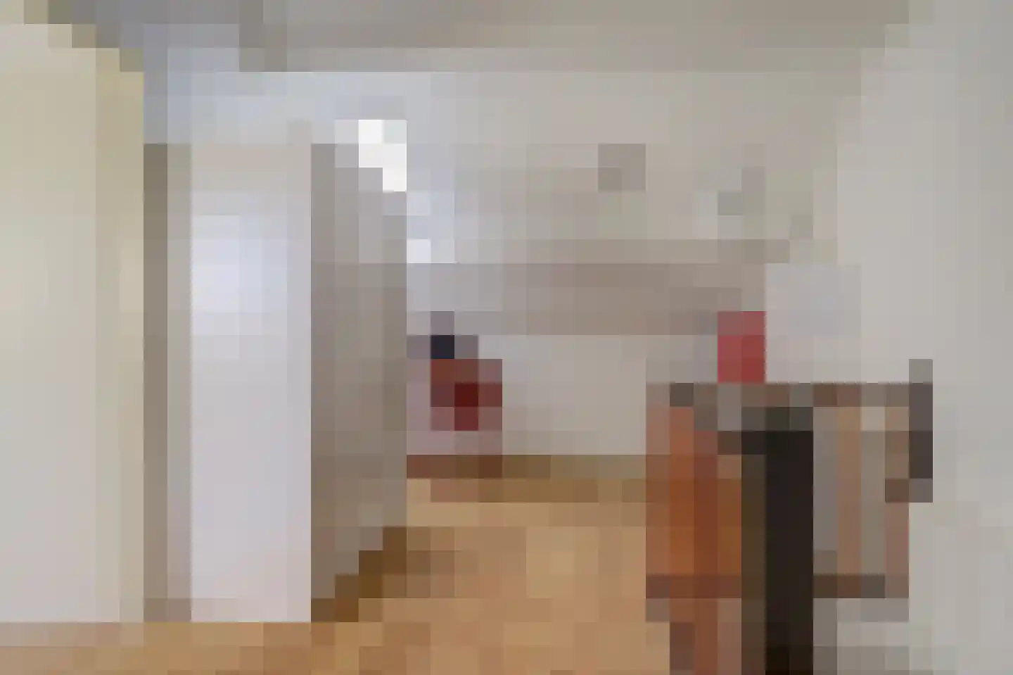 Voorhoevestraat 36 Ugchelen thumbnail 48