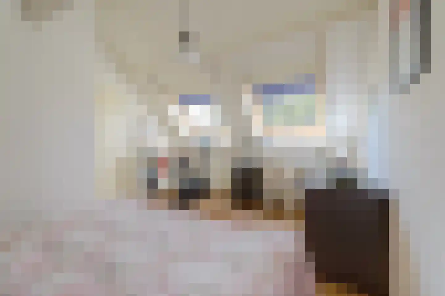 Voorhoevestraat 36 Ugchelen thumbnail 49