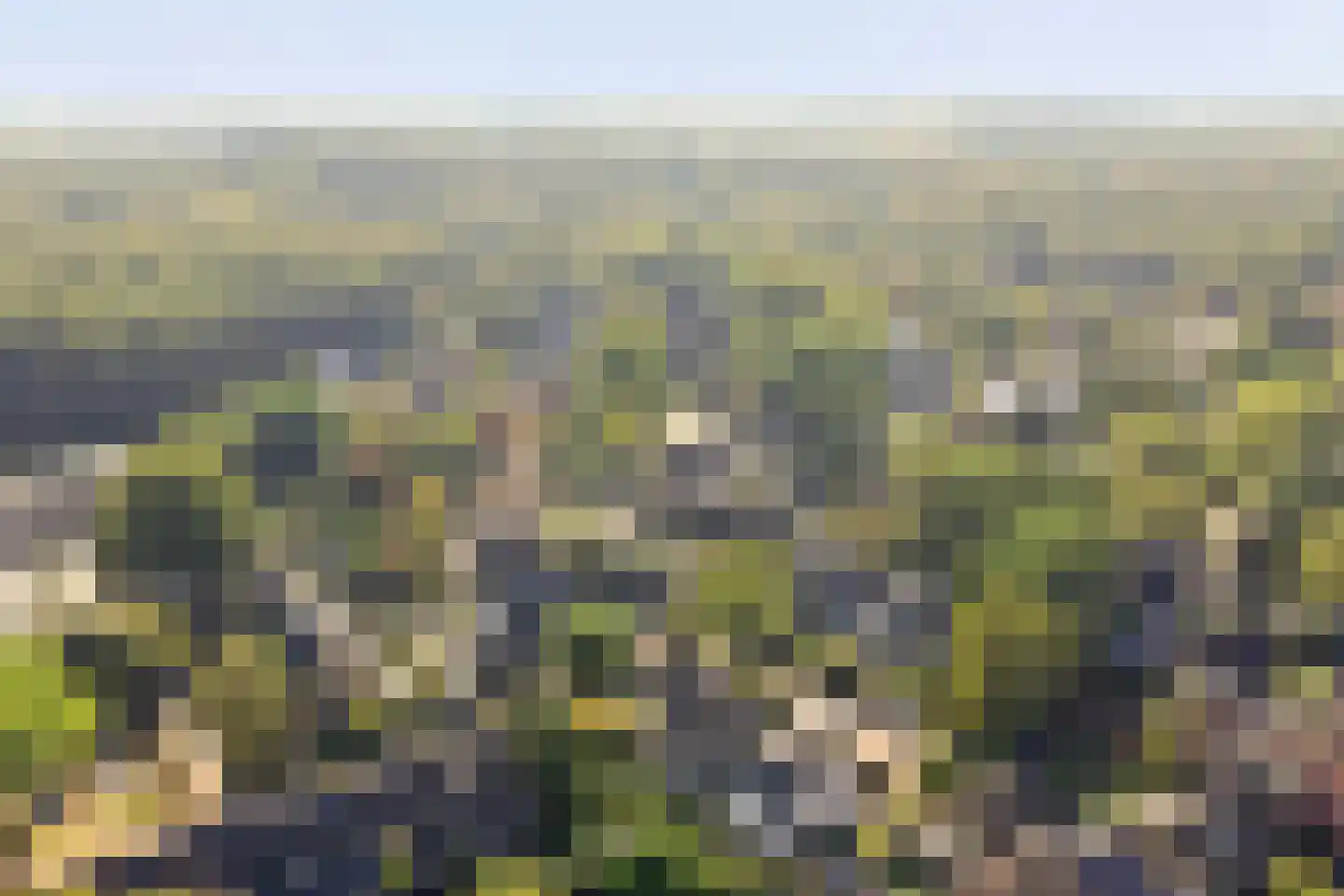 Voorhoevestraat 36 Ugchelen thumbnail 5