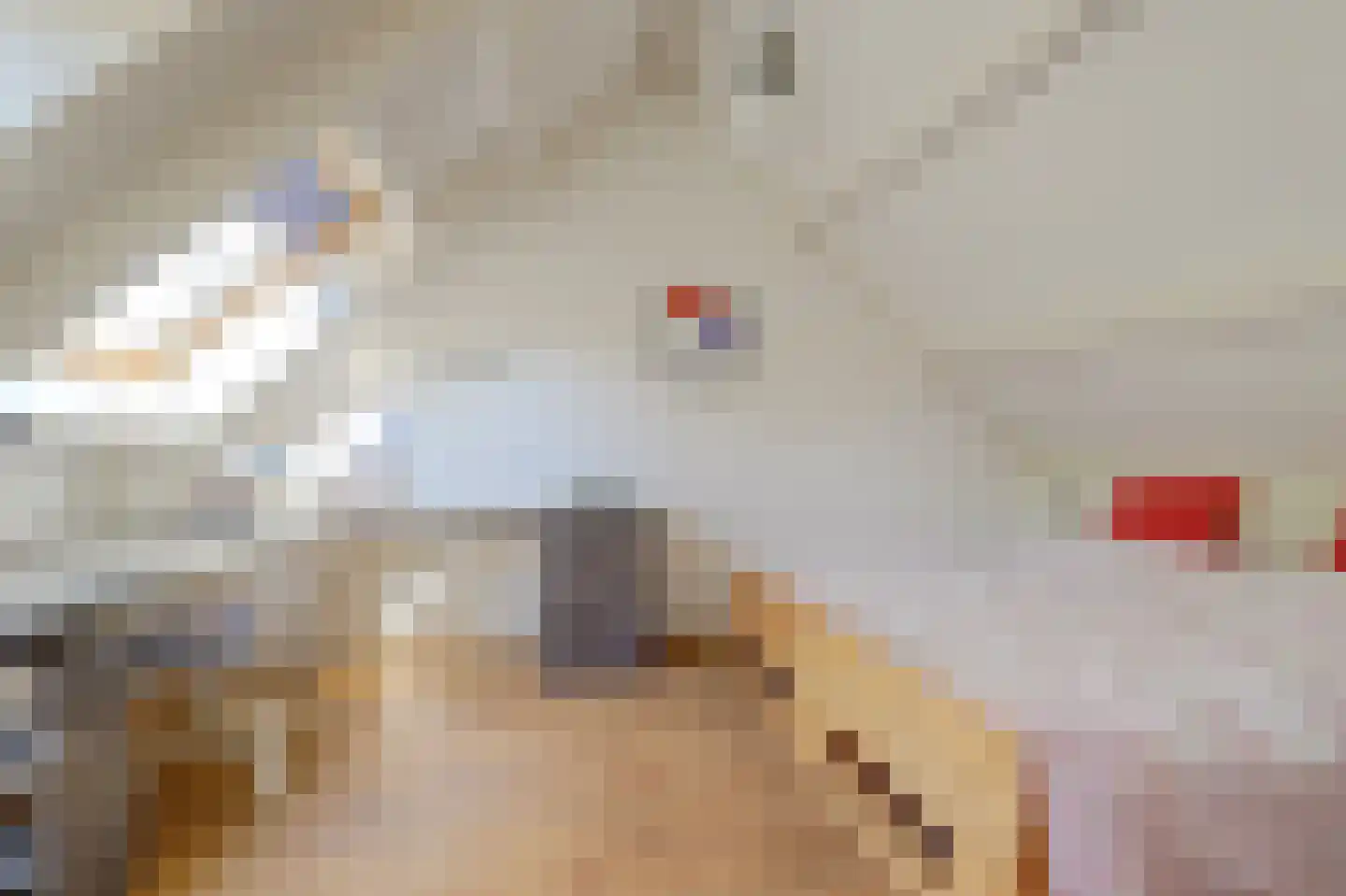 Voorhoevestraat 36 Ugchelen thumbnail 50