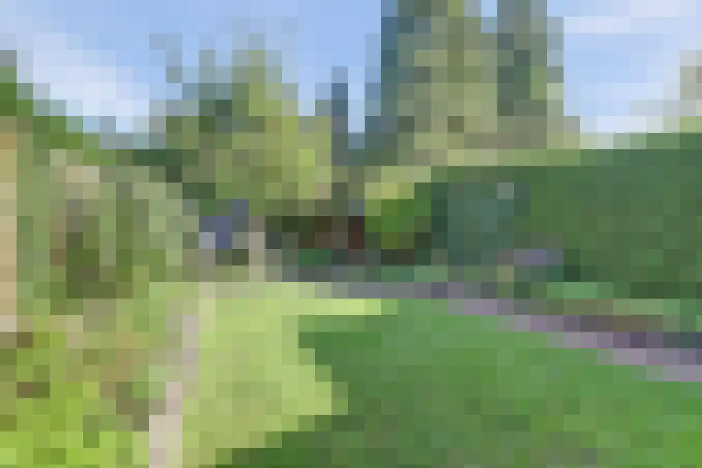 Voorhoevestraat 36 Ugchelen thumbnail 63