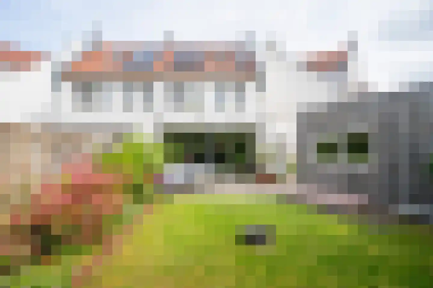 Voorhof 14 Leerdam