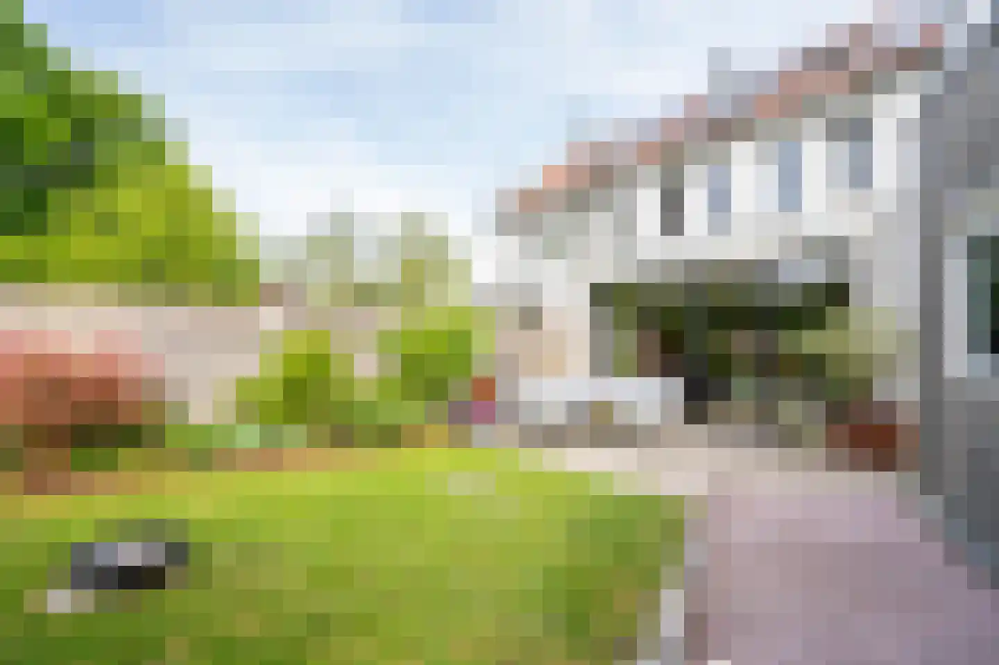 Voorhof 14 Leerdam thumbnail 29