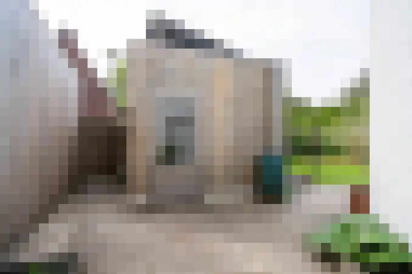 Voorhof 14 Leerdam thumbnail 33
