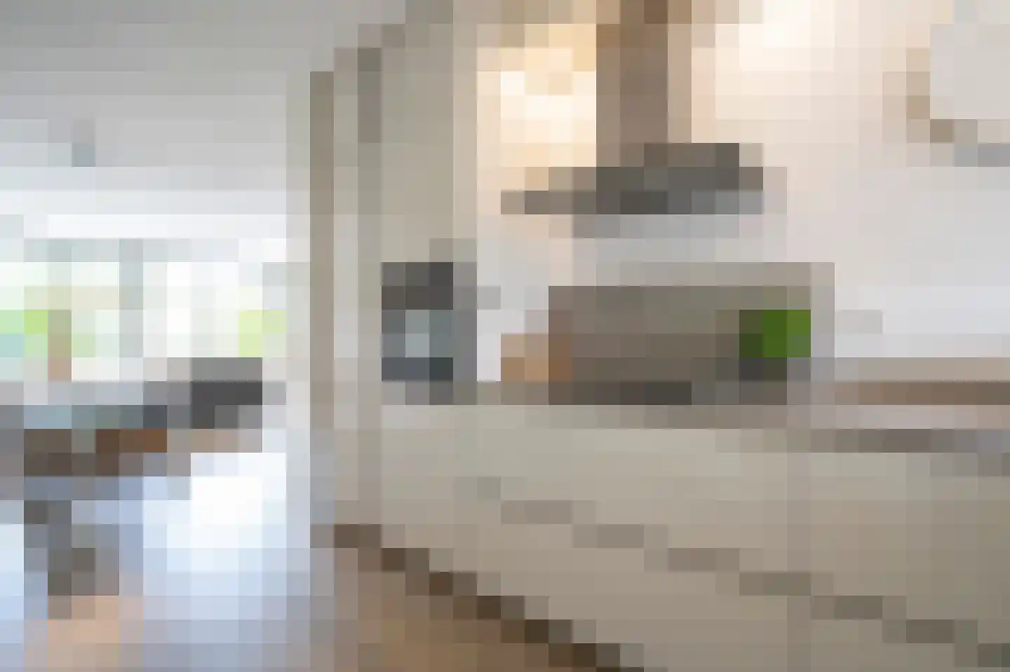Voorhof 14 Leerdam thumbnail 7