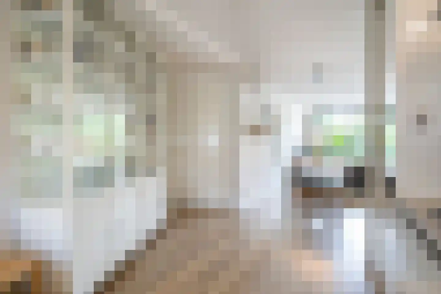 Voorhof 14 Leerdam thumbnail 8