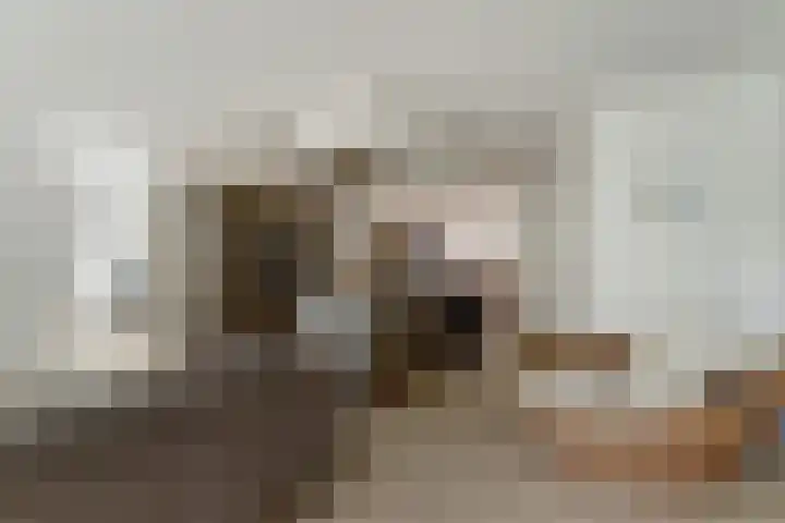 Voorhof 20 Leerdam thumbnail 14