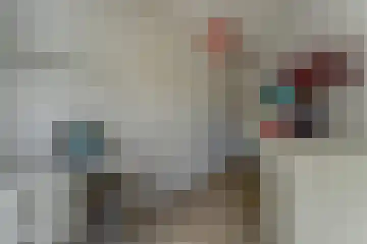 Voorhof 20 Leerdam thumbnail 16