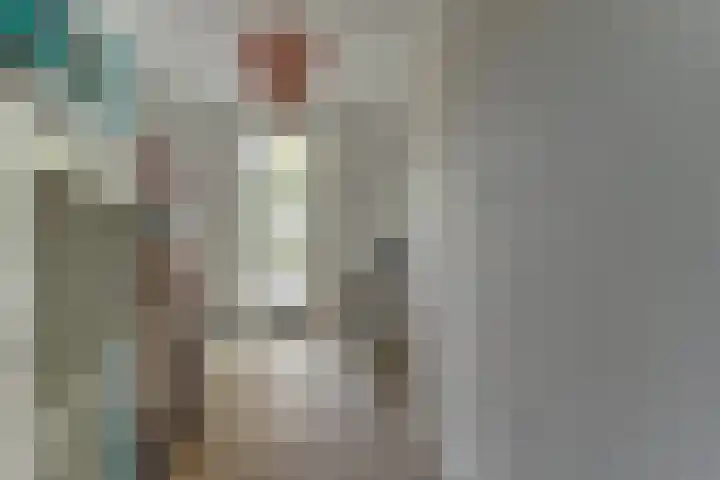 Voorhof 20 Leerdam thumbnail 17
