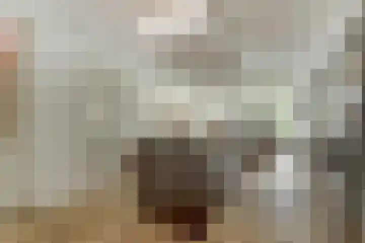 Voorhof 20 Leerdam thumbnail 19