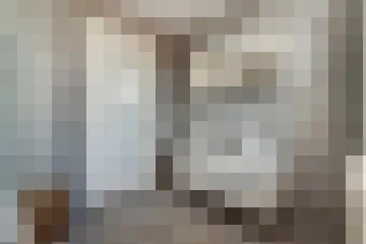Voorhof 20 Leerdam thumbnail 29