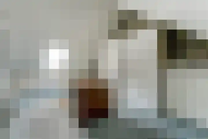 Voorhof 20 Leerdam thumbnail 33