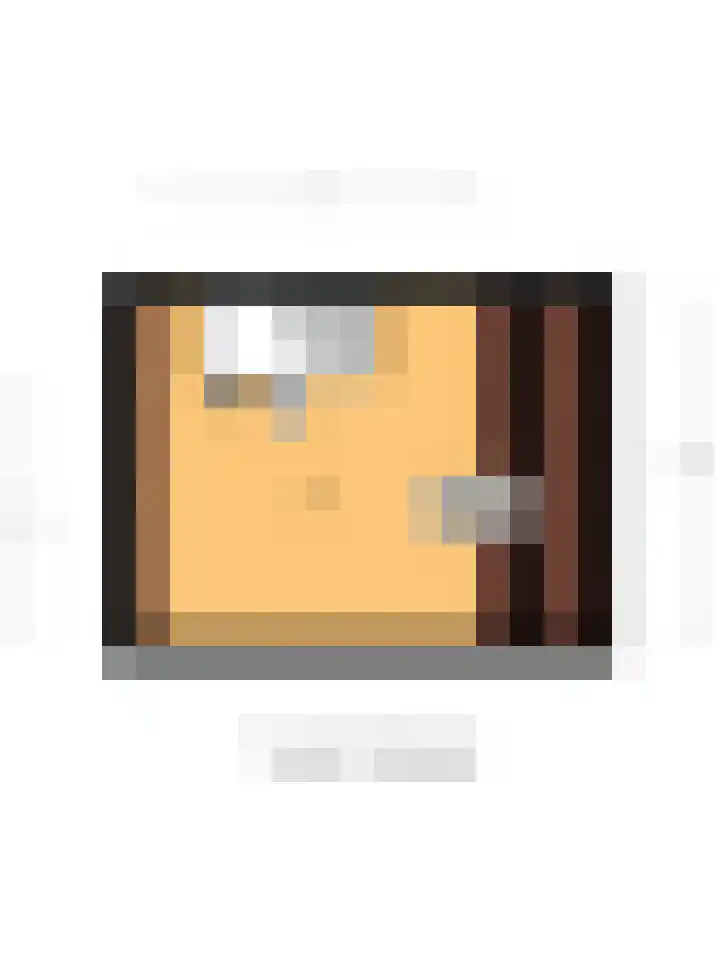 Voorhof 20 Leerdam thumbnail 34