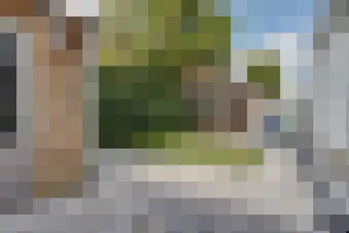 Voorhof 20 Leerdam thumbnail 35
