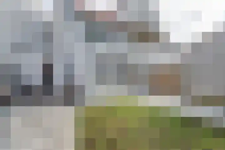Voorhof 20 Leerdam thumbnail 36
