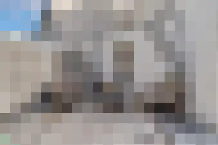Voorhof 20 Leerdam thumbnail 37