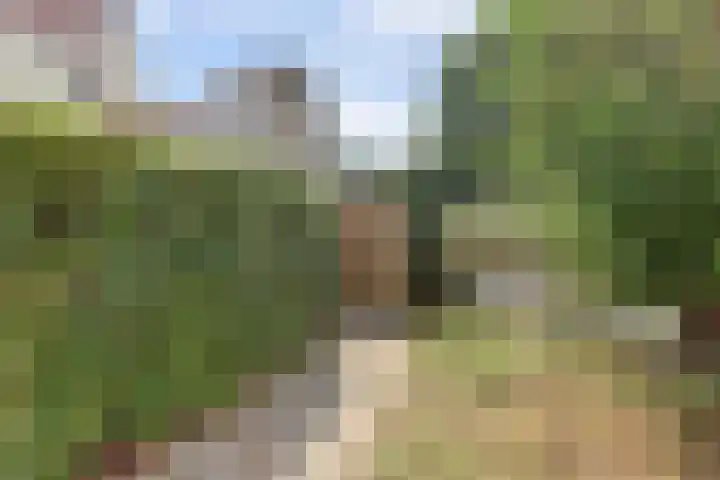 Voorhof 20 Leerdam thumbnail 40