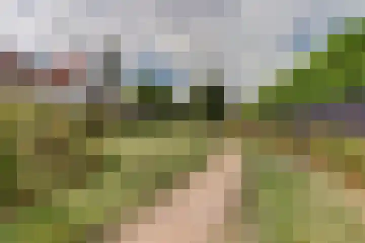 Voorhof 20 Leerdam thumbnail 41