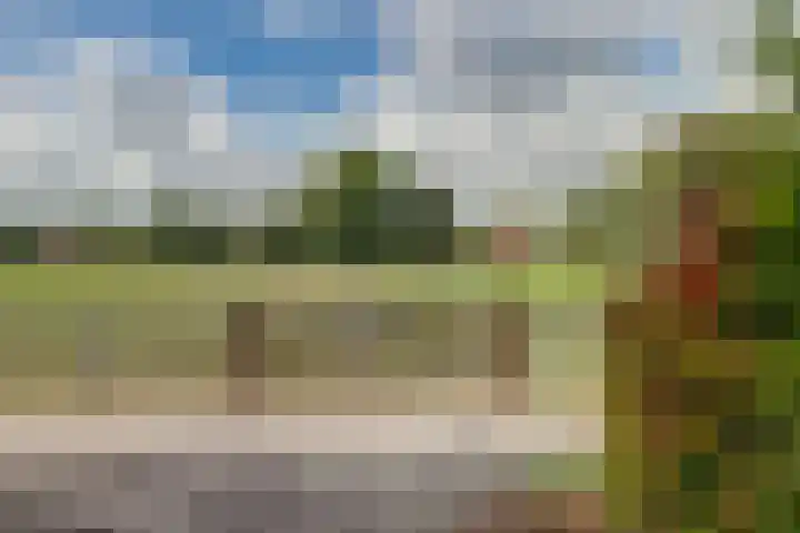 Voorhof 20 Leerdam thumbnail 42