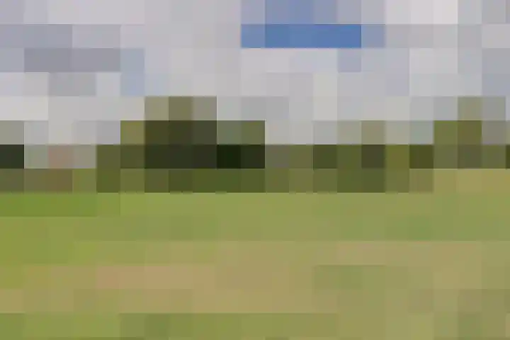 Voorhof 20 Leerdam thumbnail 44